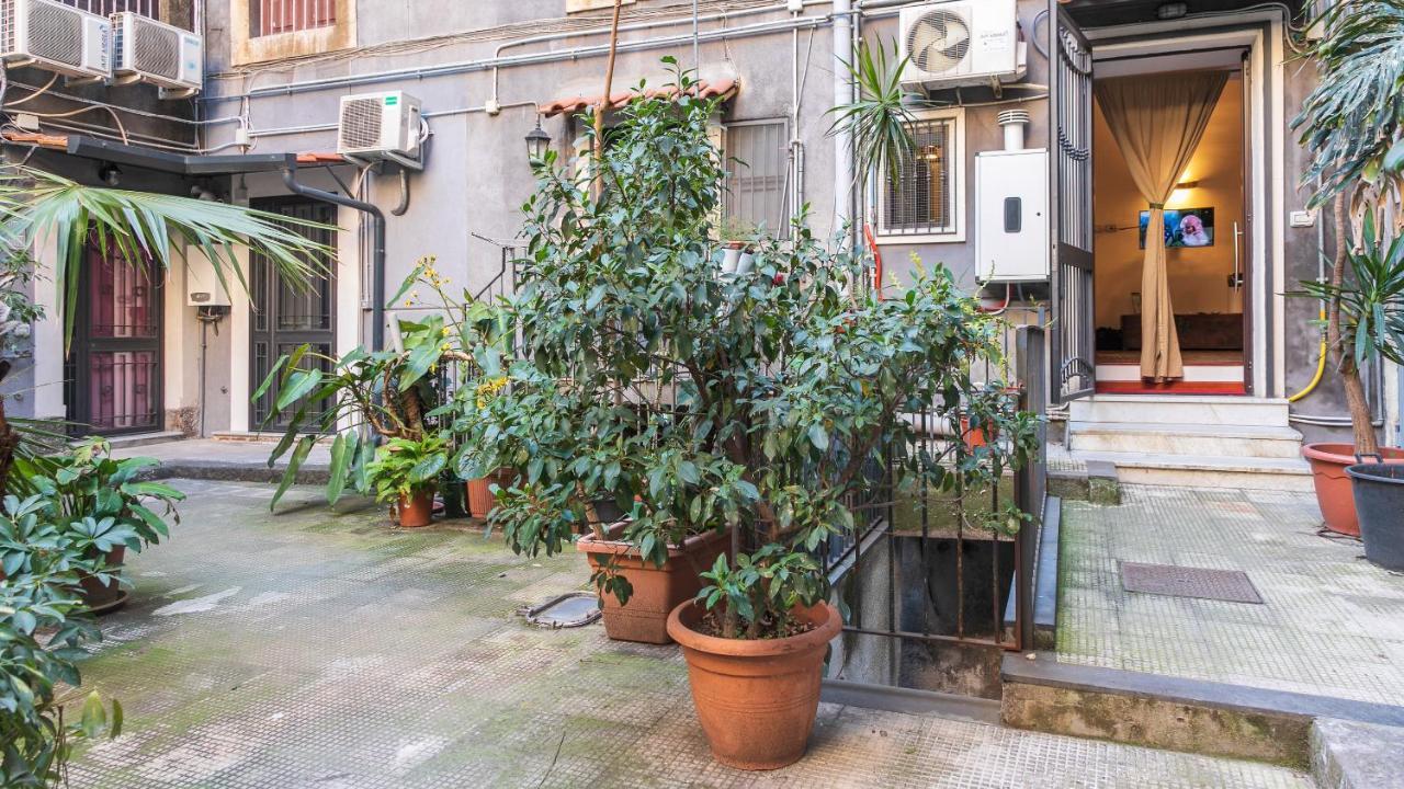 The House Appartement