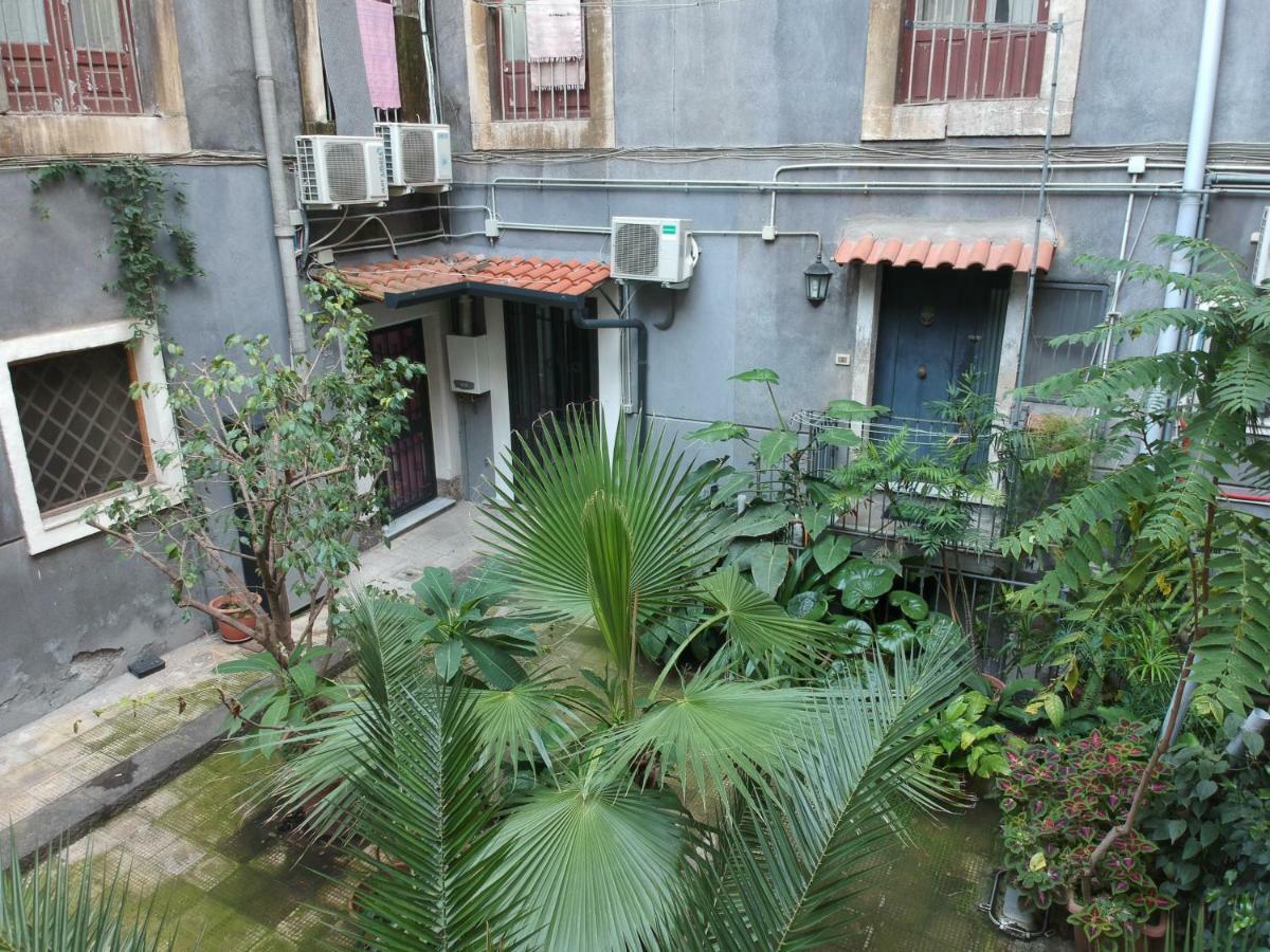 The House